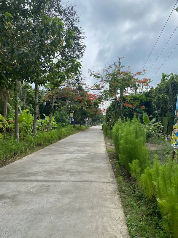 Bán đất mặt tiền Lộ Nhựa Mỹ Thạnh Bến Tre 1.337m2