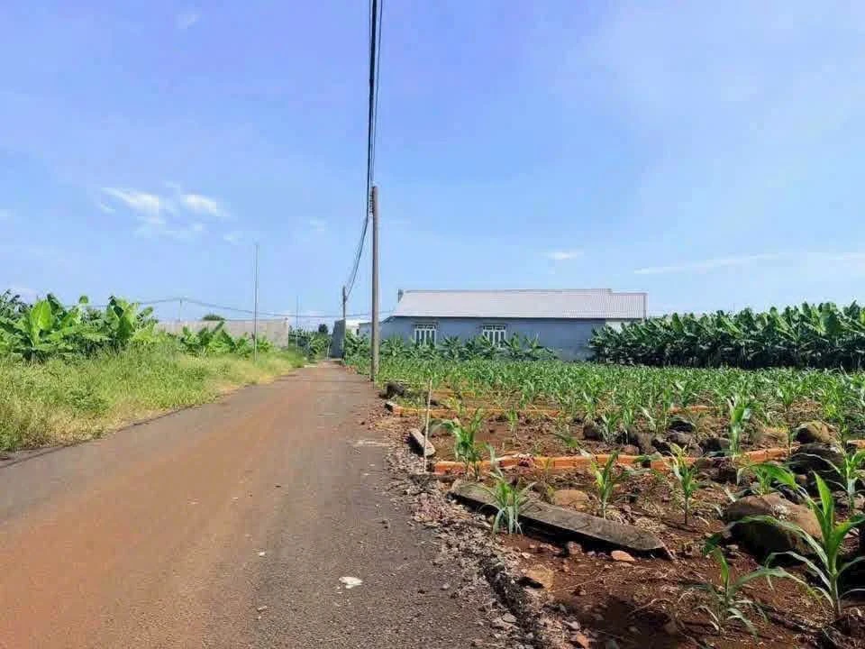Bán đất nền thổ cư 5x20m giá 390 triệu tại Xã Bàu Hàm, Trảng Bom, Đồng Nai - Ảnh 1
