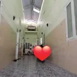 Bán dãy phòng trọ mặt tiền 170m² Phan Thiết 6 tỷ - Ảnh thu nhỏ 3