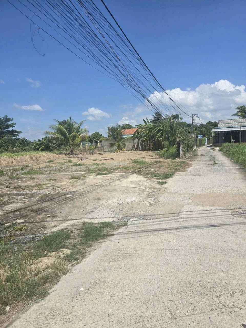 Bán đất thổ cư 200m2 ấp Chánh, Long Hiệp, Bến Lức, Long An giá 2,4 tỷ - Ảnh 1