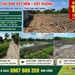 Bán đất thổ cư 100m2 kèm đất ruộng, mặt tiền lộ đal tại Thạnh Mỹ, Vĩnh Thạnh, Cần Thơ - Ảnh thu nhỏ 1