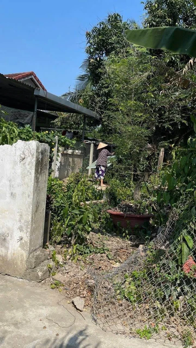 Bán đất Diên Toàn 100m2, 1 tỷ 400 triệu - Ảnh thu nhỏ 2