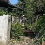 Bán đất Diên Toàn 100m2, 1 tỷ 400 triệu - Ảnh thu nhỏ 2