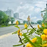 Bán BT đẹp tại Khu đô thị Phú Mỹ An Huế, 14,2 tỷ, Diện tích đất 210 m2, view đẹp - Ảnh thu nhỏ 9