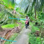 Bán đất nền 345m² Phú Khương Hóc Môn 270 triệu - Ảnh thu nhỏ 2