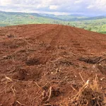 Bán đất 2ha sổ sách đầy đủ, 250m mặt đường, Lâm Đồng - Ảnh thu nhỏ 1