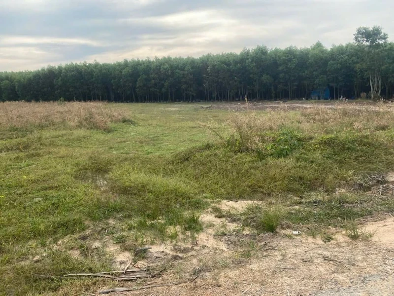 Bán đất sào 2000m² mặt đường Lê Đức Thọ Lagi, 750 triệu