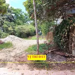 Bán đất 148,7m2 kiệt ô tô 65 Lê Ngô Cát, Huế, giá 1 tỷ 6xx triệu - Ảnh thu nhỏ 1