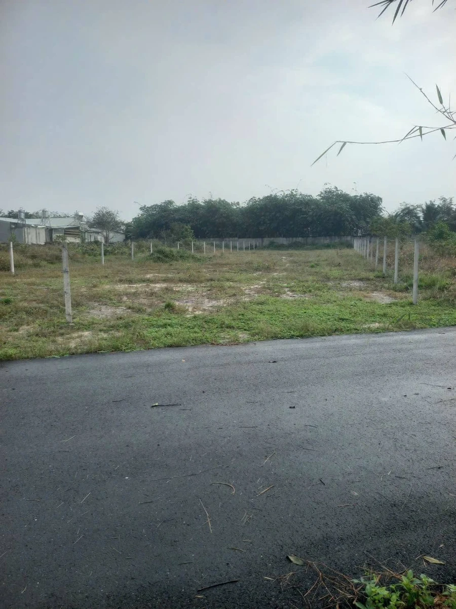 Bán lô đất 1.144m² sổ hồng, mặt tiền 5m, Cần Giờ - Ảnh thu nhỏ 2
