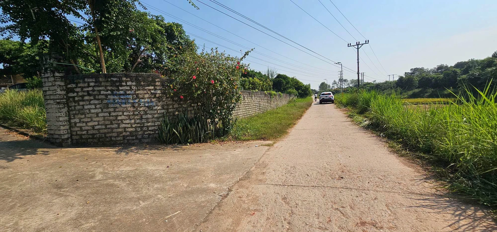 Bán mảnh vườn 2230 m2 tại Yên Thế, Bắc Ninh - Ảnh 1