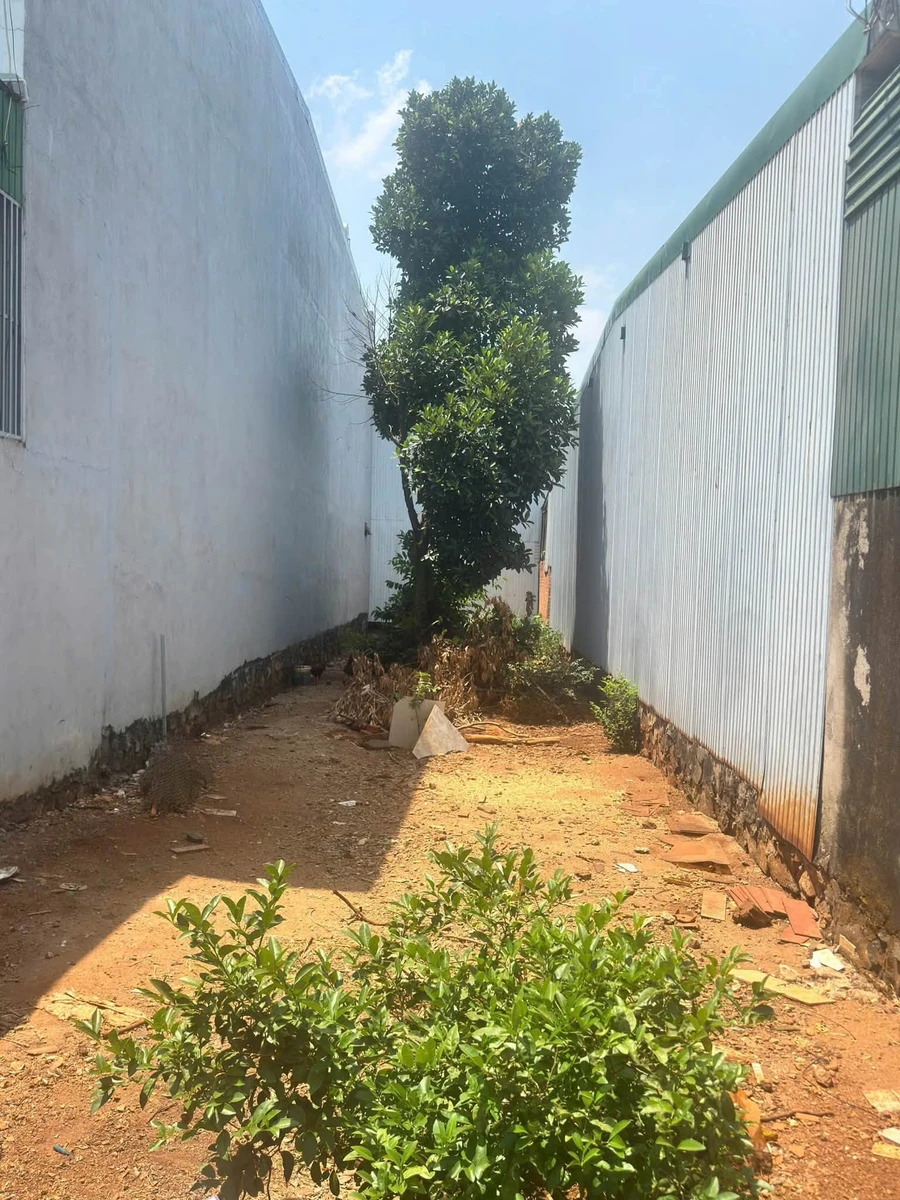 Bán đất mặt tiền Nguyễn Xuân Nguyên, Nhà Bè, 150m2, 3 tỷ - Ảnh thu nhỏ 3
