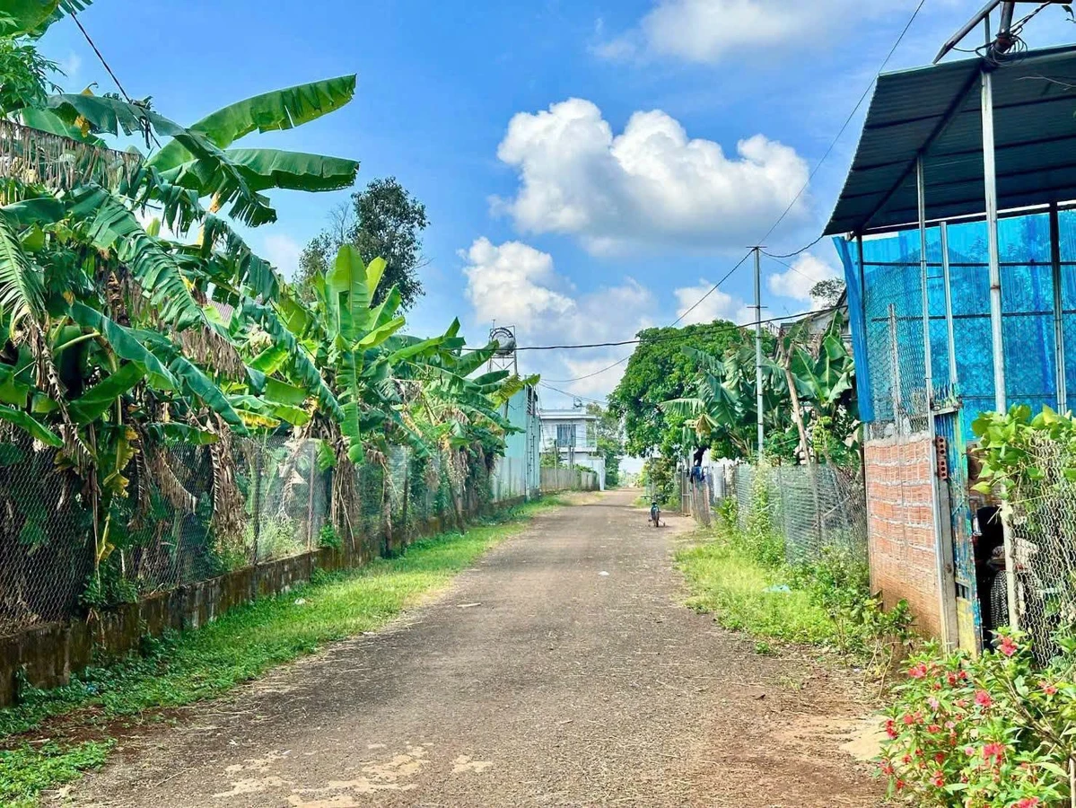 Bán đất hẻm Lý Thái Tổ, 120m², Quận 1 - Ảnh thu nhỏ 3