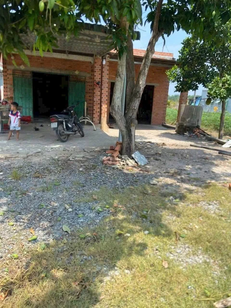 Bán đất Phường Bình Minh, Tây Ninh, 24x49.6m, 399 triệu - Ảnh 1