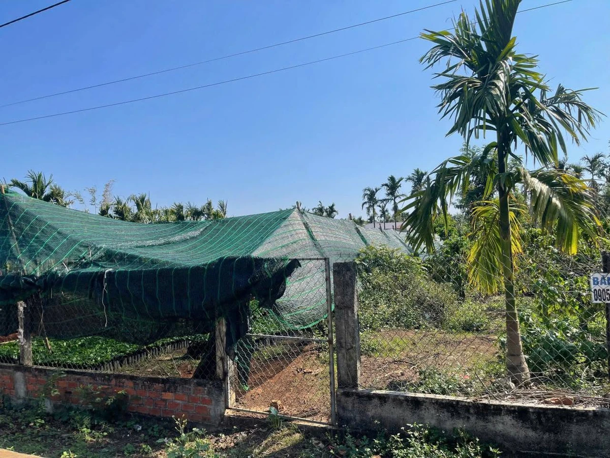 Bán đất 6x52m có 80m2 thổ cư, mặt tiền đường nhựa tại Phường Ea Kao, Buôn Ma Thuột - Ảnh thu nhỏ 4