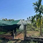Bán đất 6x52m có 80m2 thổ cư, mặt tiền đường nhựa tại Phường Ea Kao, Buôn Ma Thuột - Ảnh thu nhỏ 4