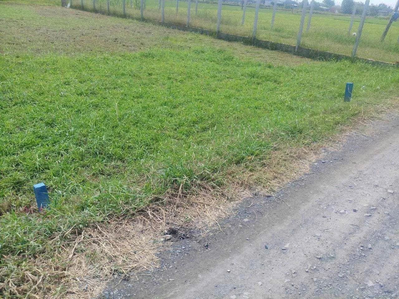 Bán đất 192m² Hòa Khánh Nam Đức Hòa Long An giá 890 triệu - Ảnh 1