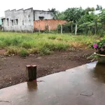Bán 2 lô đất gần Chợ Long Tân, 125 m², chỉ 565 triệu - Ảnh thu nhỏ 2
