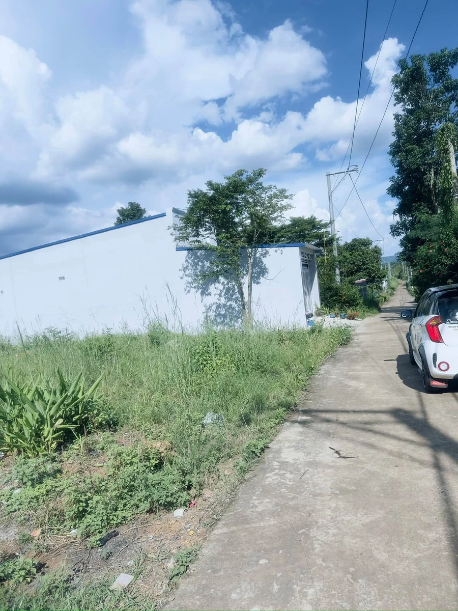 Bán 3 lô đất Sông Thao 100 m² sổ riêng 590 triệu - Ảnh thu nhỏ 5