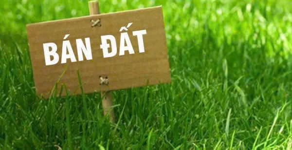 Bán lô đất 230m² gần Nhà Thờ Hà Phát, Tân Phú, 3.39 tỷ - Ảnh 1