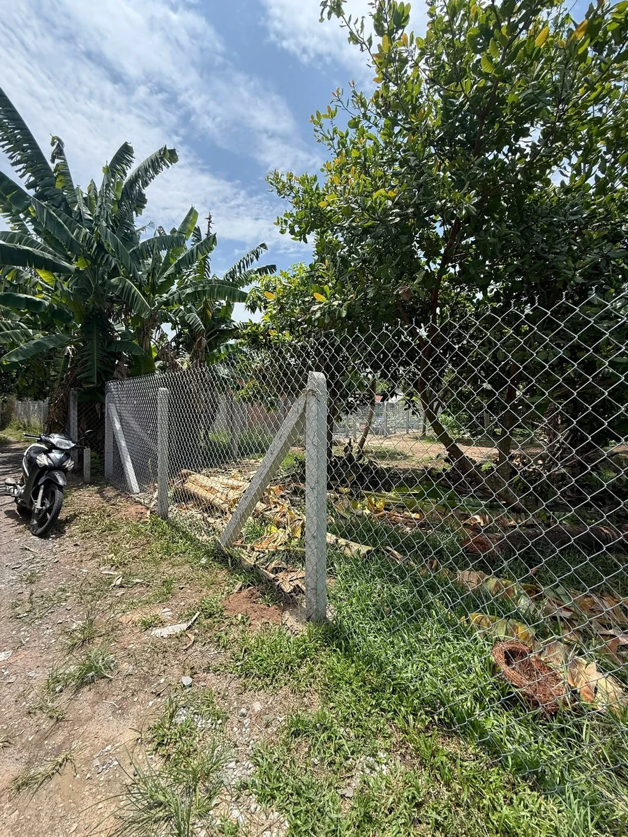 Bán đất nền Tây Ninh 8.5×33m, 280m² giá 460 triệu - Ảnh thu nhỏ 4