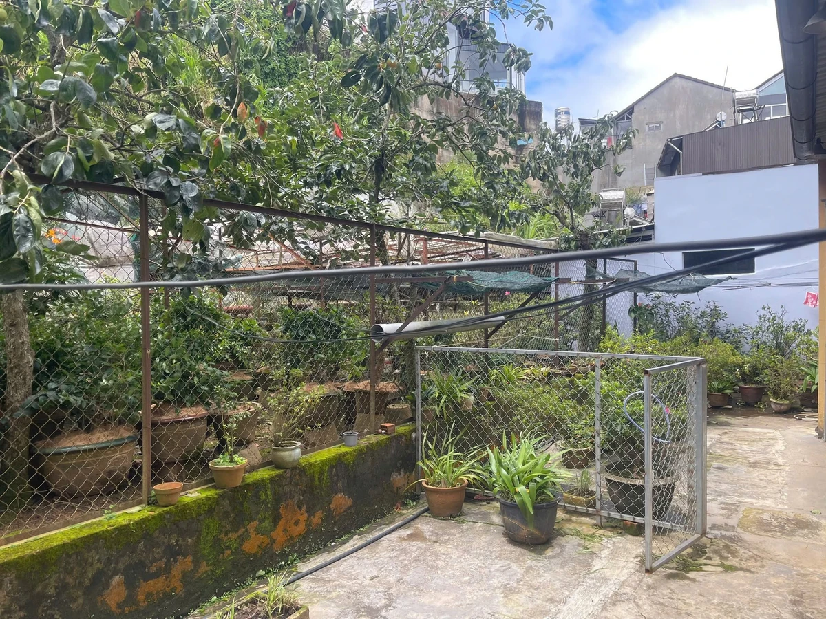Bán đất SRXD 119,2m² Phan Đình Phùng Đà Lạt 7,89 tỷ - Ảnh thu nhỏ 5