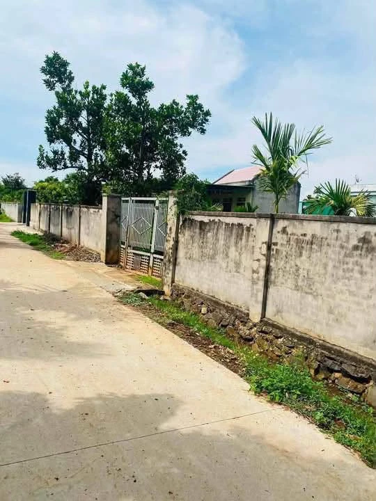 Bán đất nền 312m² giá 400 triệu tại Eakly - Ảnh thu nhỏ 2