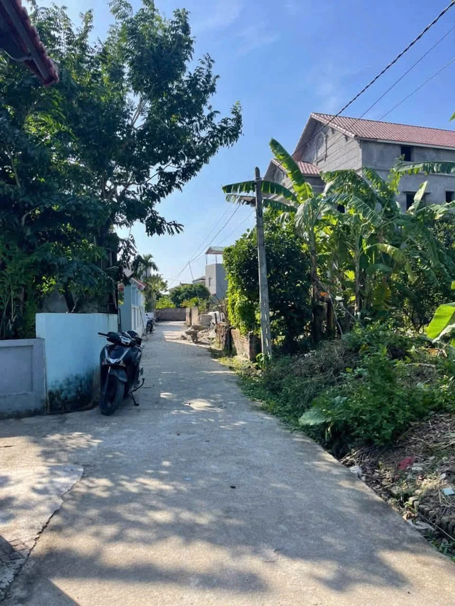 Bán lô đất Cẩm Giàng Hải Dương 94,9m2 mặt tiền 4,45m - Ảnh 1