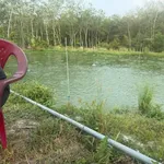 Bán gấp mảnh vườn 7000m2 tâm huyết Minh Hưng Chơn Thành - Ảnh thu nhỏ 4