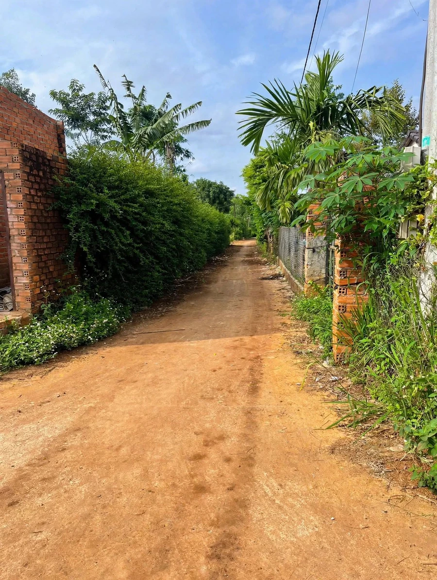 Bán đất Ea Tiêu Cư Kuin 200m² ngang 10m 350 triệu - Ảnh thu nhỏ 3