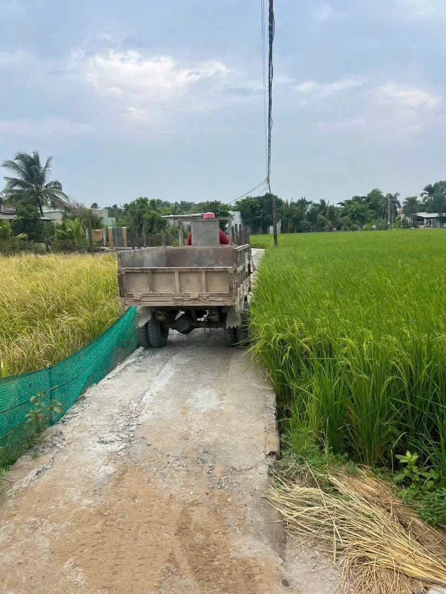 Bán 1000m² đất lúa xã Long Hòa, Cần Đước, Long An - Ảnh 1