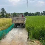 Bán 1000m² đất lúa xã Long Hòa, Cần Đước, Long An - Ảnh thu nhỏ 1