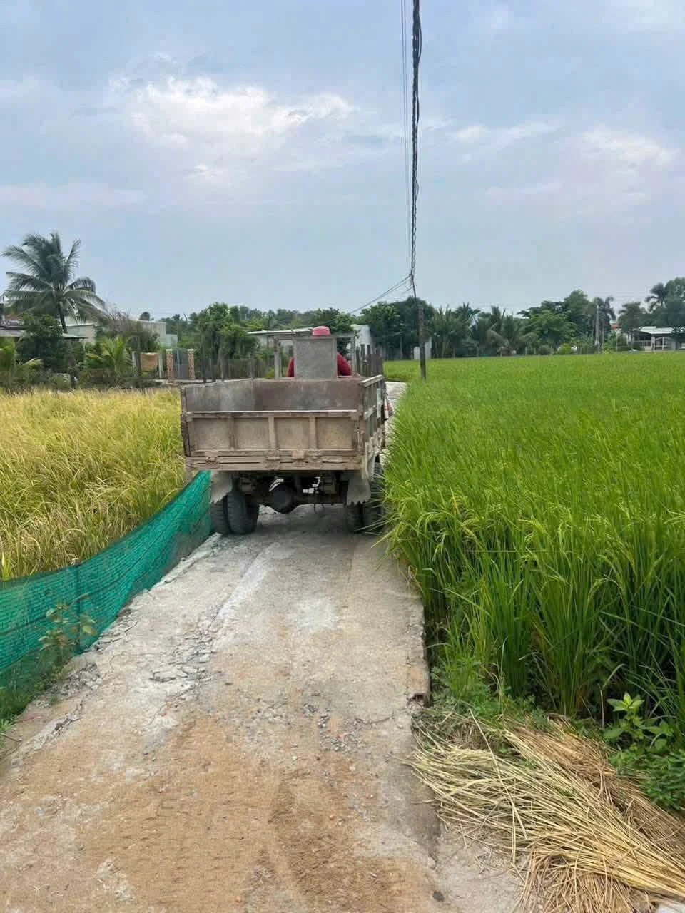 Bán 1000m² đất lúa xã Long Hòa, Cần Đước, Long An - Ảnh 1