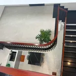 Bán nhà 2 tầng mặt tiền Trần Thị Tâm, Huế, 143m² – 6,5 tỷ - Ảnh thu nhỏ 3
