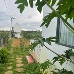 Bán nhà biệt thự nghỉ dưỡng DT 650m2, Thôn 13, Phường 2, TP Bảo Lộc, Lâm Đồng - Ảnh thu nhỏ 4