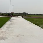 Bán gấp đất tại Xã Nam Thịnh, Huyện Tiền Hải, Thái Bình, 550 triệu, 120 m2 - Ảnh thu nhỏ 2