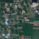 Bán đất 1000m² Sào Quang Minh Hóc Môn, 299 triệu - Ảnh thu nhỏ 4