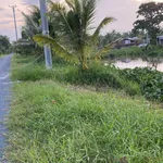 Bán 4 công đất vườn dừa 2 mặt tiền Trà Vinh - Ảnh thu nhỏ 1