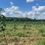 Bán đất 3 hectare 400 triệu Đồng Tâm Cần Giờ - Ảnh thu nhỏ 1