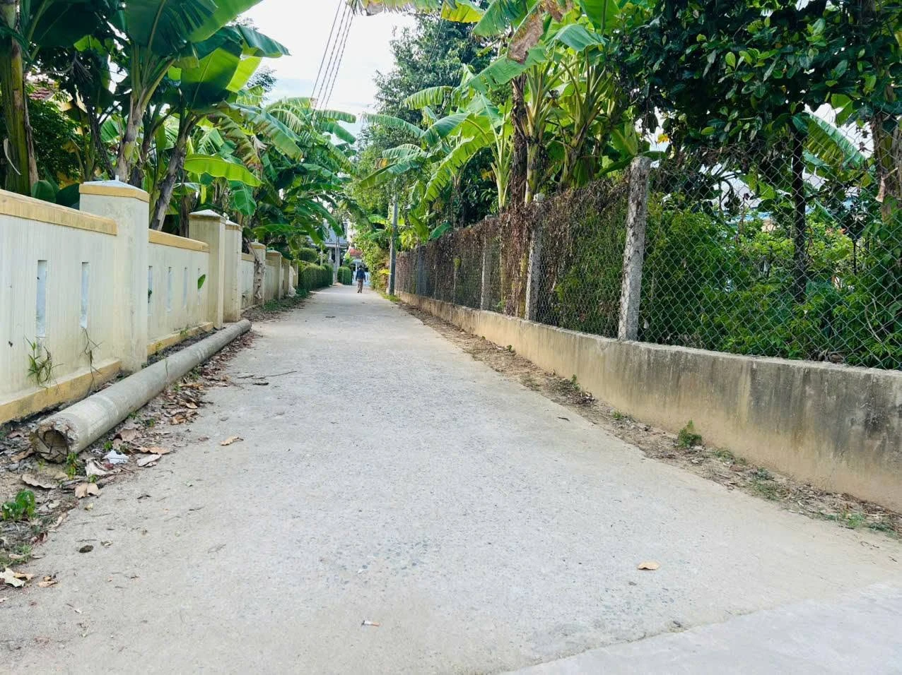 Bán đất nền 106m² an cư gần chợ Mai, Huế - Ảnh 1