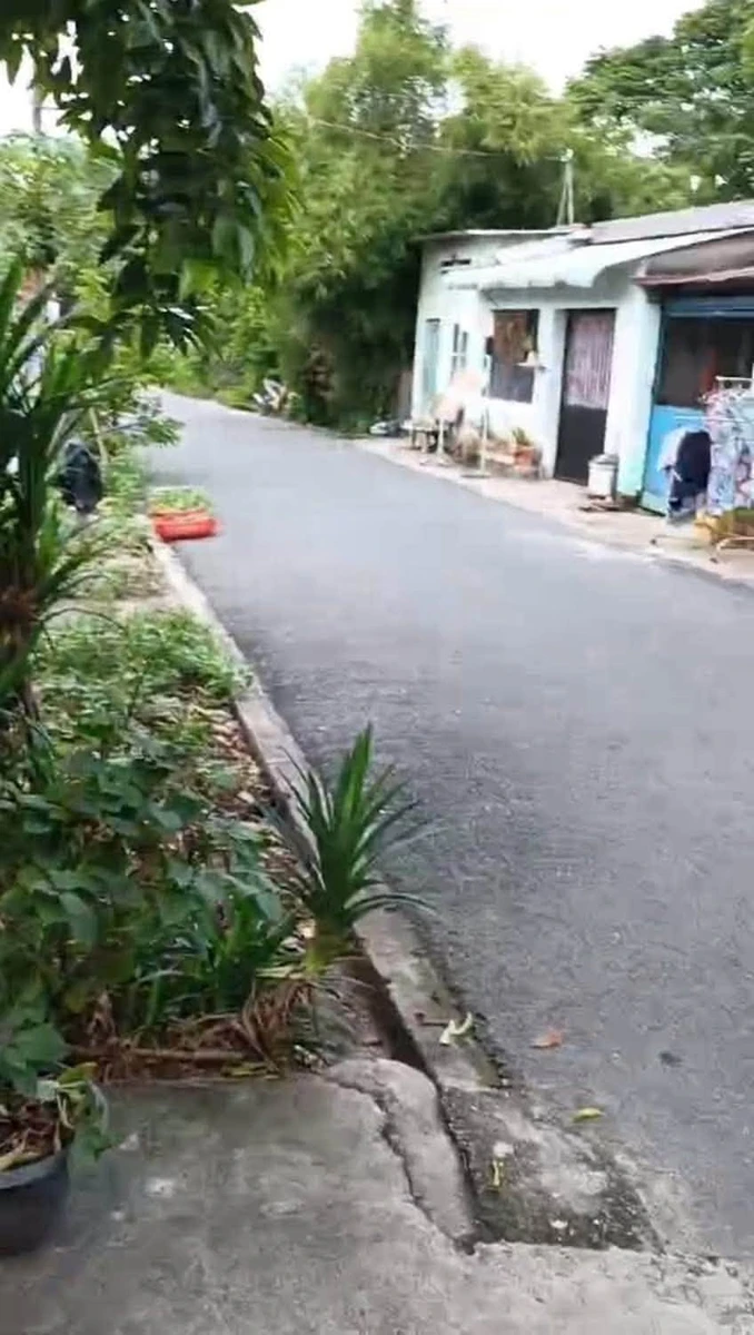 Bán nhà cấp 4 Phú An 100m2 giá 2.7 tỷ - Ảnh thu nhỏ 2