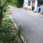 Bán nhà cấp 4 Phú An 100m2 giá 2.7 tỷ - Ảnh thu nhỏ 2