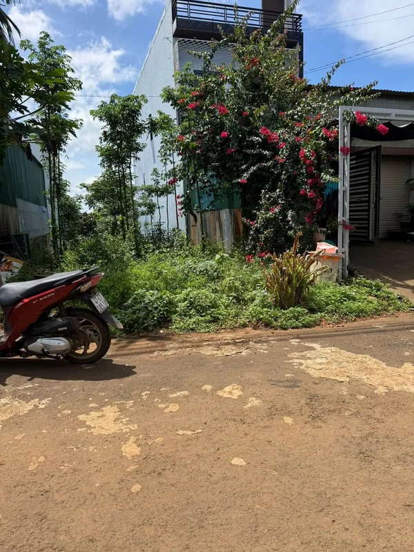 Bán đất mặt tiền Đinh Tiên Hoàng Dạk Mил 162m² 1 tỷ 350 triệu