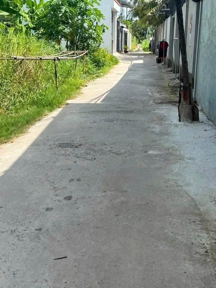 Bán đất Phú Tân Bình Tân 130m² giá 500 triệu - Ảnh thu nhỏ 3