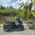 Bán nền đất full thổ cư mặt tiền 100m², Thủ Thừa - Ảnh thu nhỏ 2