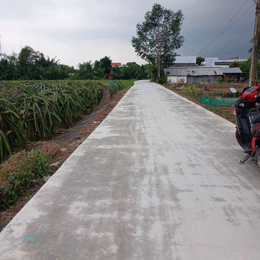 Bán đất nền 1000m2 Thuận Mỹ, Châu Thành, Long An - Ảnh 1