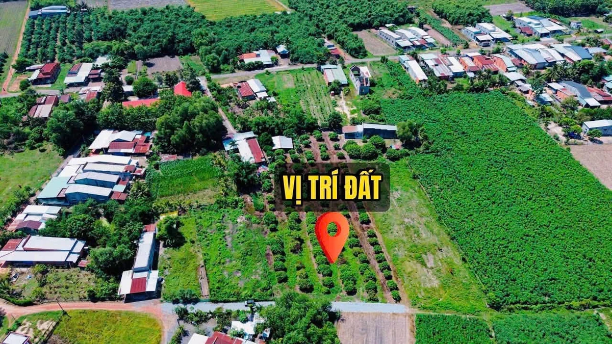 Bán đất thổ cư Tây Ninh 200m² 279 triệu - Ảnh thu nhỏ 5