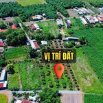 Bán đất thổ cư Tây Ninh 200m² 279 triệu - Ảnh thu nhỏ 5