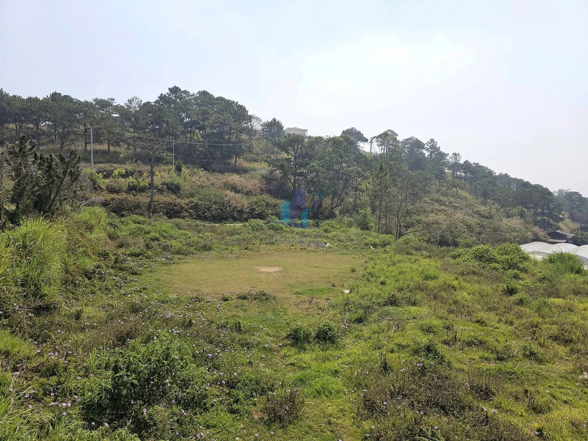 Bán đất Đà Lạt 3.087m² Phường Lang Biang 37 tỷ - Ảnh thu nhỏ 3