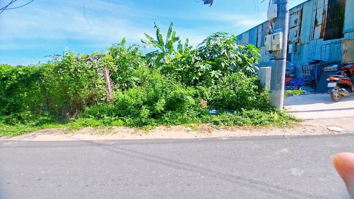Bán lô đất mặt tiền 130m² Long Hải - Ảnh thu nhỏ 2