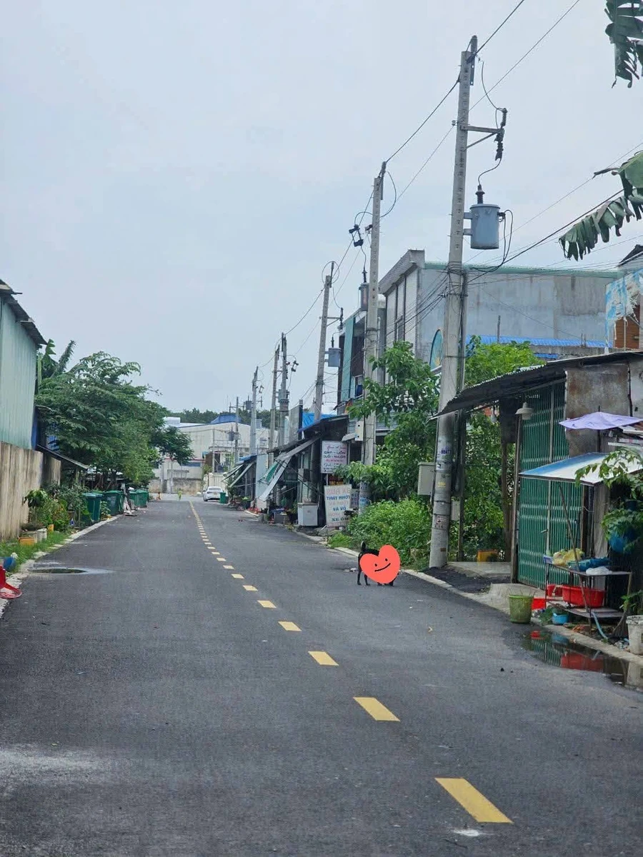 Bán đất nền 1000m2 Khu phố 1 Hội Nghĩa Bình Chánh, 10 tỷ - Ảnh thu nhỏ 2